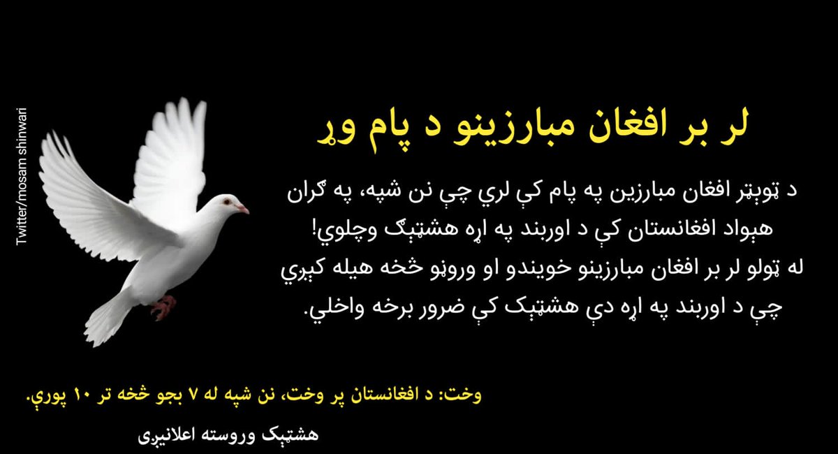 LAR & BAR All Afghan brothers & sisters are urged to participate in the Ceasefire hashtag today. Afghan Twitter groups are planning to launch Ceasefire hashtag Twitter today.
@abdulqahar7