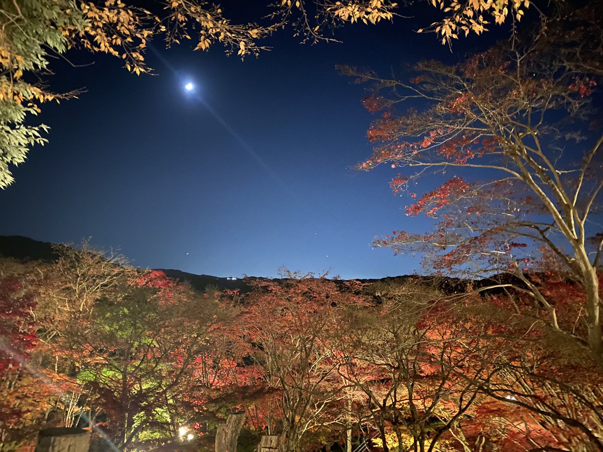 笠置山もみじ公園 笠置山もみじ公園