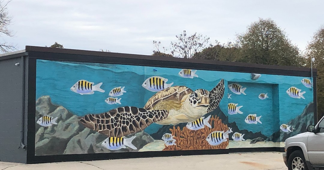 HankAaronTrail's tweet photo. Check out the beautiful new underwater themed mural installed on Kelmann Restoration's building along the Trail at 121st! Thanks to @KelmannRest for investing in another beautiful mural for trail-users to enjoy!
#RideTheHank #WalkTheHank #RunTheHank https://t.co/vbGMkaBvmd