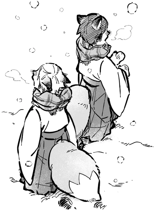 🦊🦊+🦊🦊 