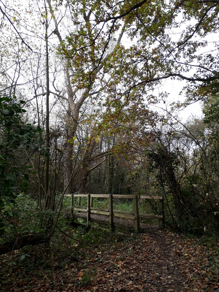 MrPB_Esq's tweet image. #MoBearMrPB and #MoSista Susan joining in on World #MoRunning Day this #Movember morning with our #MoRun for #MoBros, a beautiful mindful #VirtualMoPotter #GoWalkMrPB 🐾👣❤🐌 here... 🍃🍂🍁🌳🌊
Stay safe, look after yourselves #Movember2020 and always ❤
#MentalHealthMatters 💙