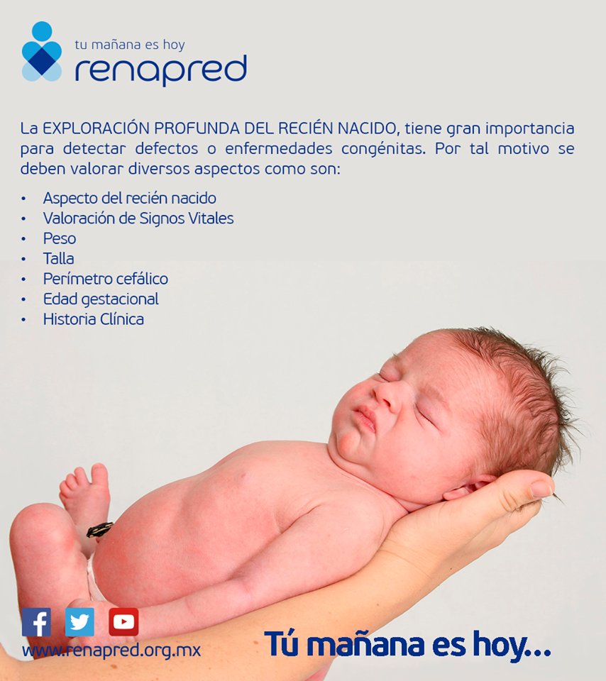 La #ExploraciónProfundaDeReciénNacido, tiene gran importancia para detectar defectos o enfermedades congénitas. Por tal motivo se deben valorar diversos aspectos. 

#4AccionesRenapred #TuMañanaesHoy. Para más información visita: renapred.org.mx