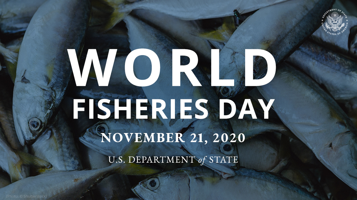 StateDept's tweet photo. On #WorldFisheriesDay, we recognize the contribution those who fish make to provide food, nutrition, and income security to billions of people globally and reflect on fishing, coastal communities, and the status of the oceans and fish stocks. https://t.co/Ttd4xCIp0W https://t.co/mq1ljFMzgR