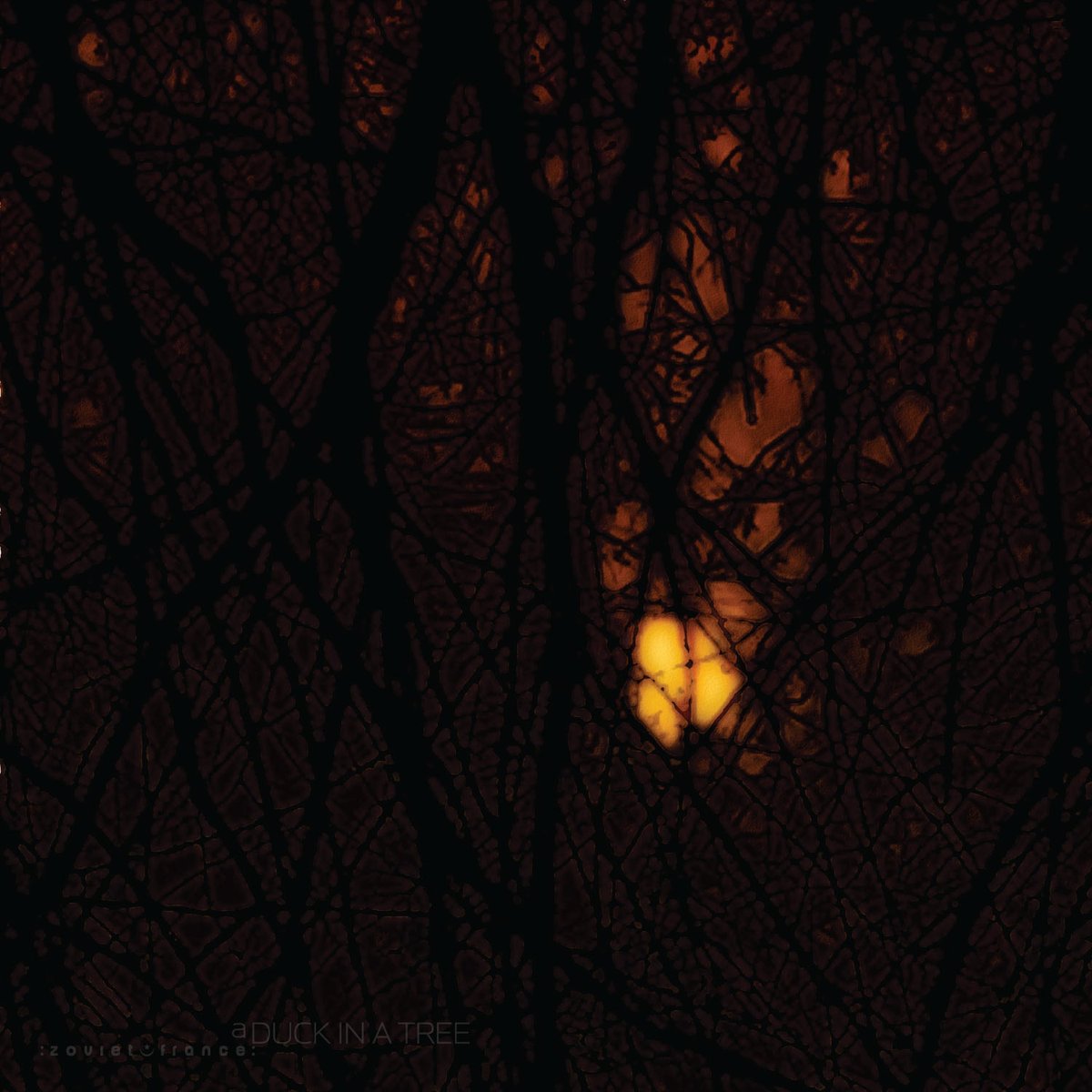 Starting in five minutes on <a href="/ResonanceFM/">Resonance FM</a> on 104.4 FM and DAB in London, and online: the new edition of A Duck in a Tree, the :zoviet*france: radio show        player.resonancefm.com
