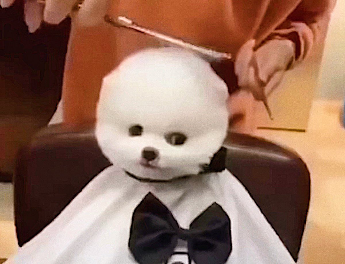 I see no difference🤔
#하성운
#HASUNGWOON
#河成云
#河成雲
#ハソンウン
#ฮาซองอุน 
#سونقوون