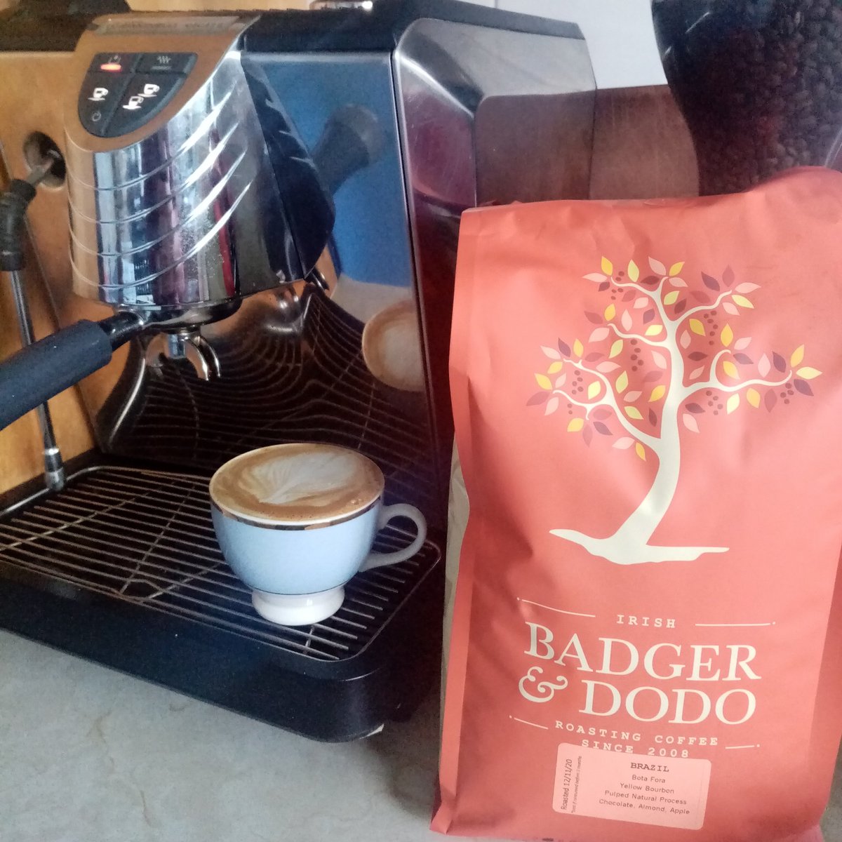 Loving this Bota Fota Brazilian coffee, by @BadgerAndDodo