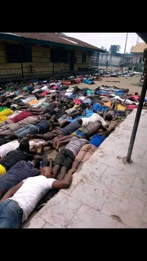 DiobuZone_PH's tweet photo. #ObigboMassacre
Bloodbaths in Biafra land once again.
@StateDept @POTUS @SecPompeo @HouseofCommons @UKParliament @UNHumanRights please help us ,we are being slaughtered in thousands. Is it a crime to be Christians ? Nigerian military sent by Wike @GovWike are killing us in Obigbo https://t.co/9iOW3tBUmc