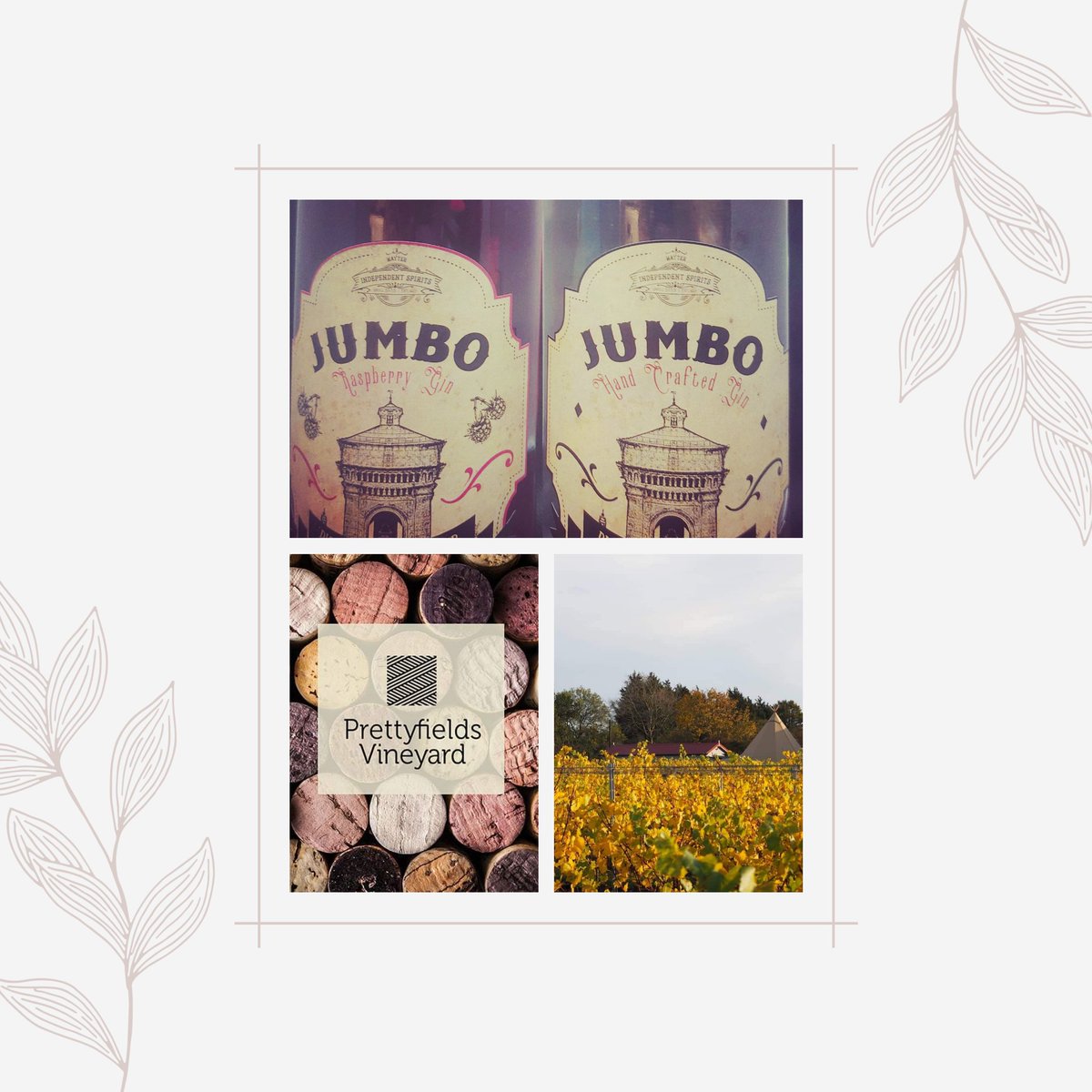 JumboGin's tweet photo. The full range of our gins are available from 3-7pm today over at Prettyfields Vineyard 
#Gin #saturday #buylocal #supportsmallbusinesses #raspberry #marmalade #ginandtonic #navystrength https://t.co/2rXzTo9UcE