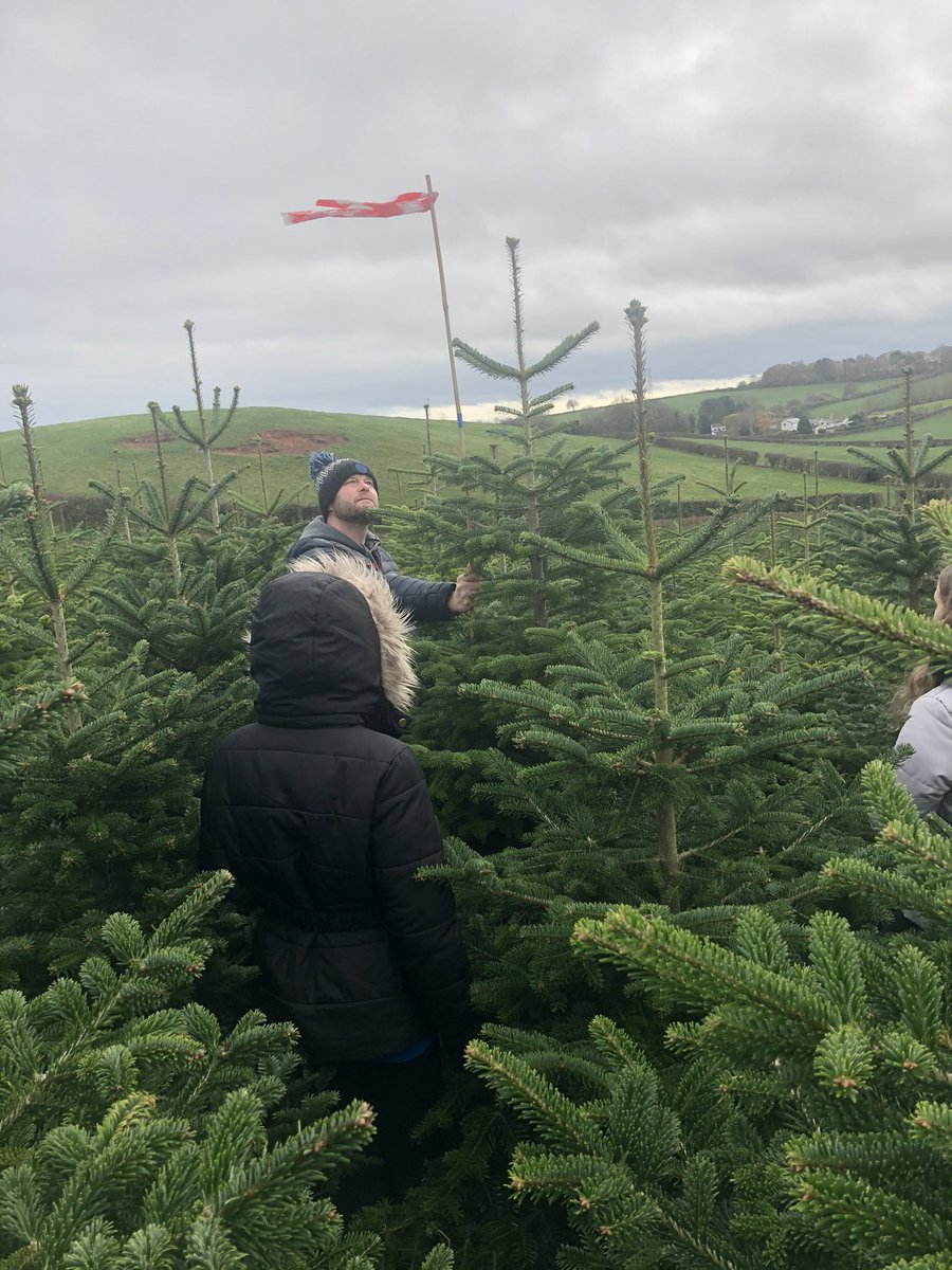 Louise Brown tweet media