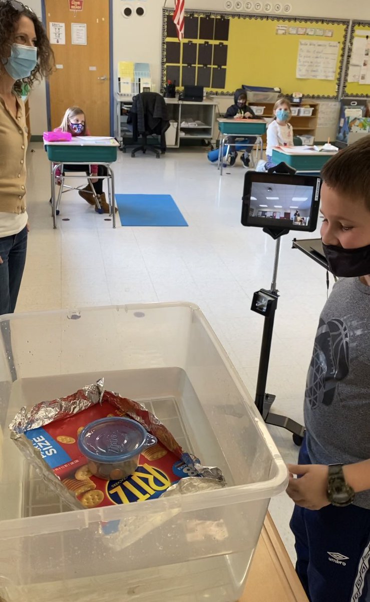 Stacey Kenney tweet media