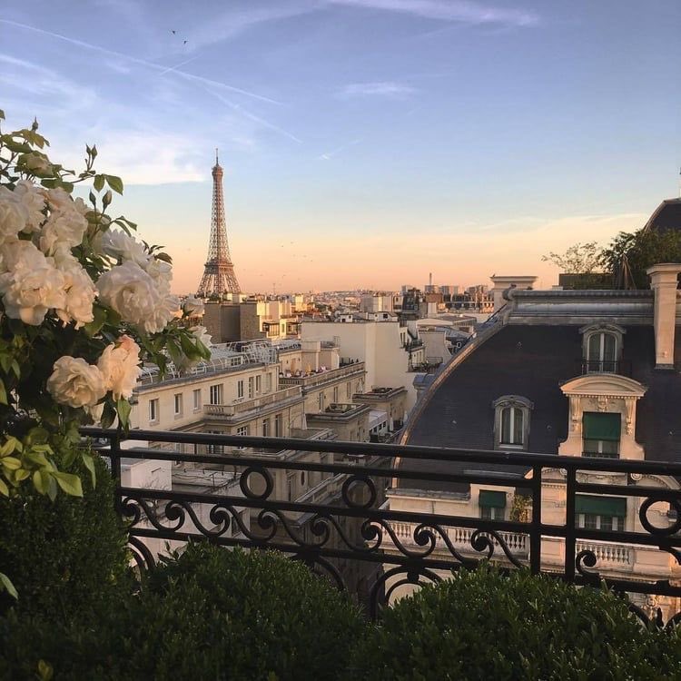 FinestToys's tweet photo. Parisian girl apartment 🇫🇷 https://t.co/LEUSQAj8QW