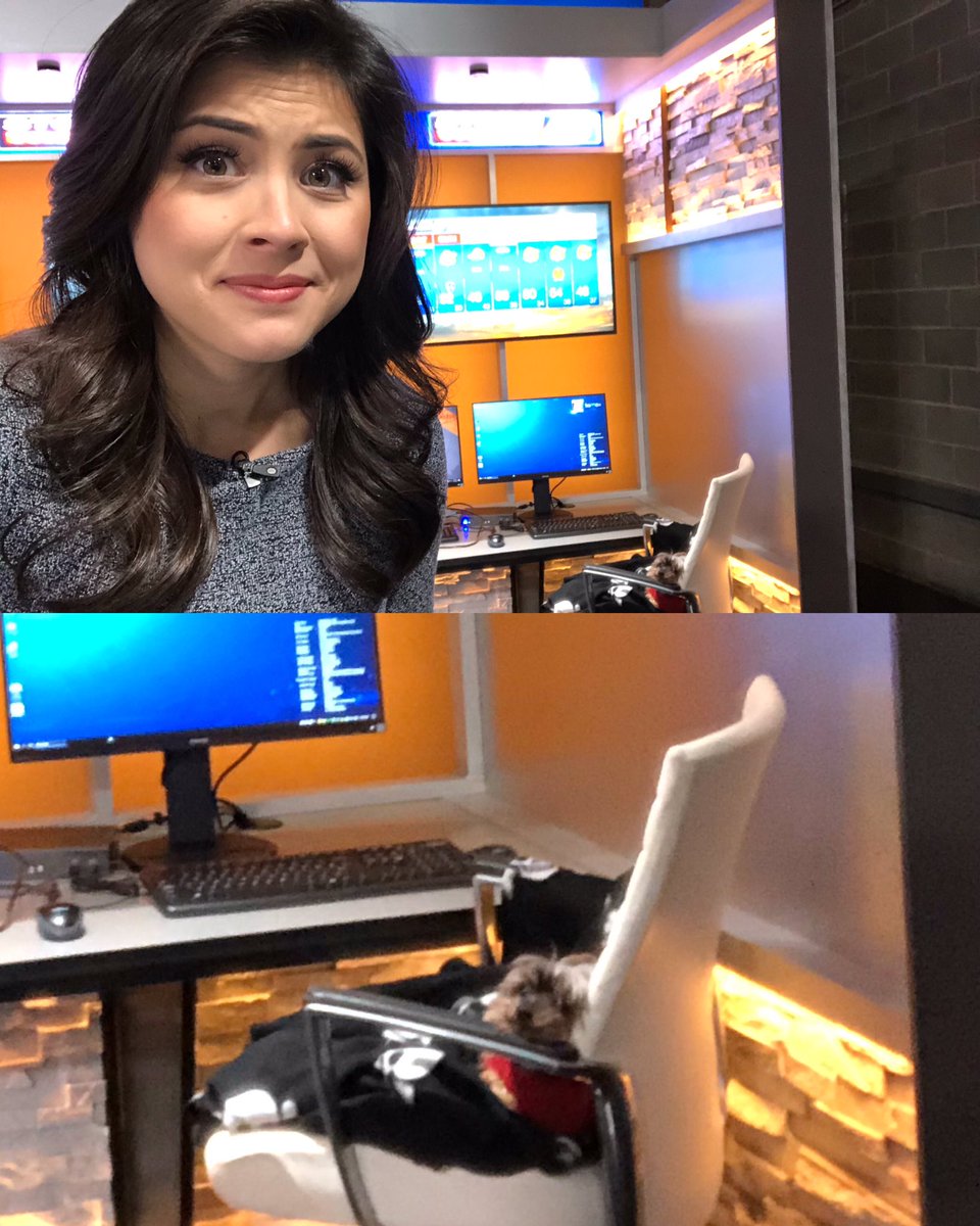 alenaleewx's tweet image. 🎶 I always feel like, somebody’s watching me 🎶