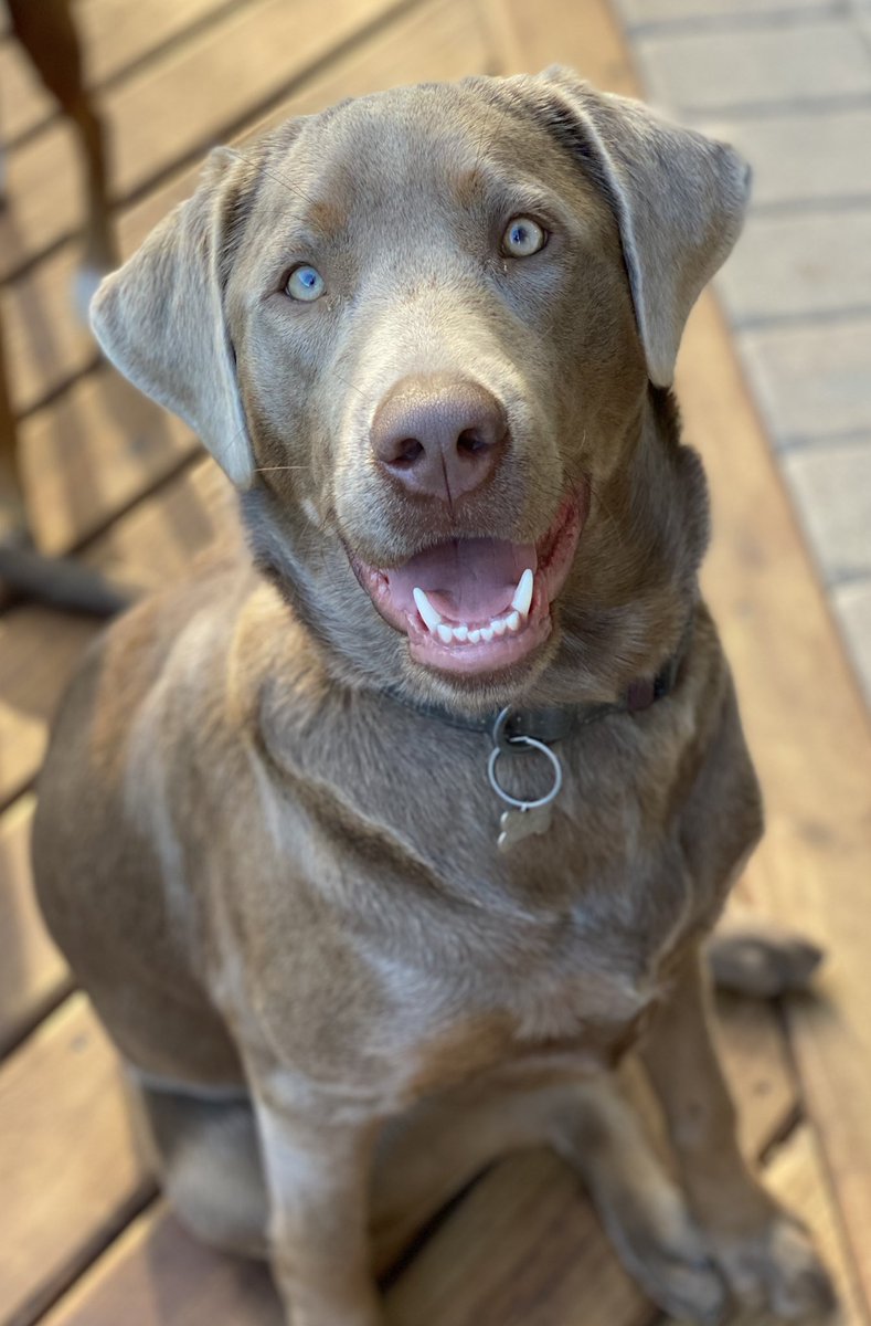 Happy Saturday from Shelby May!