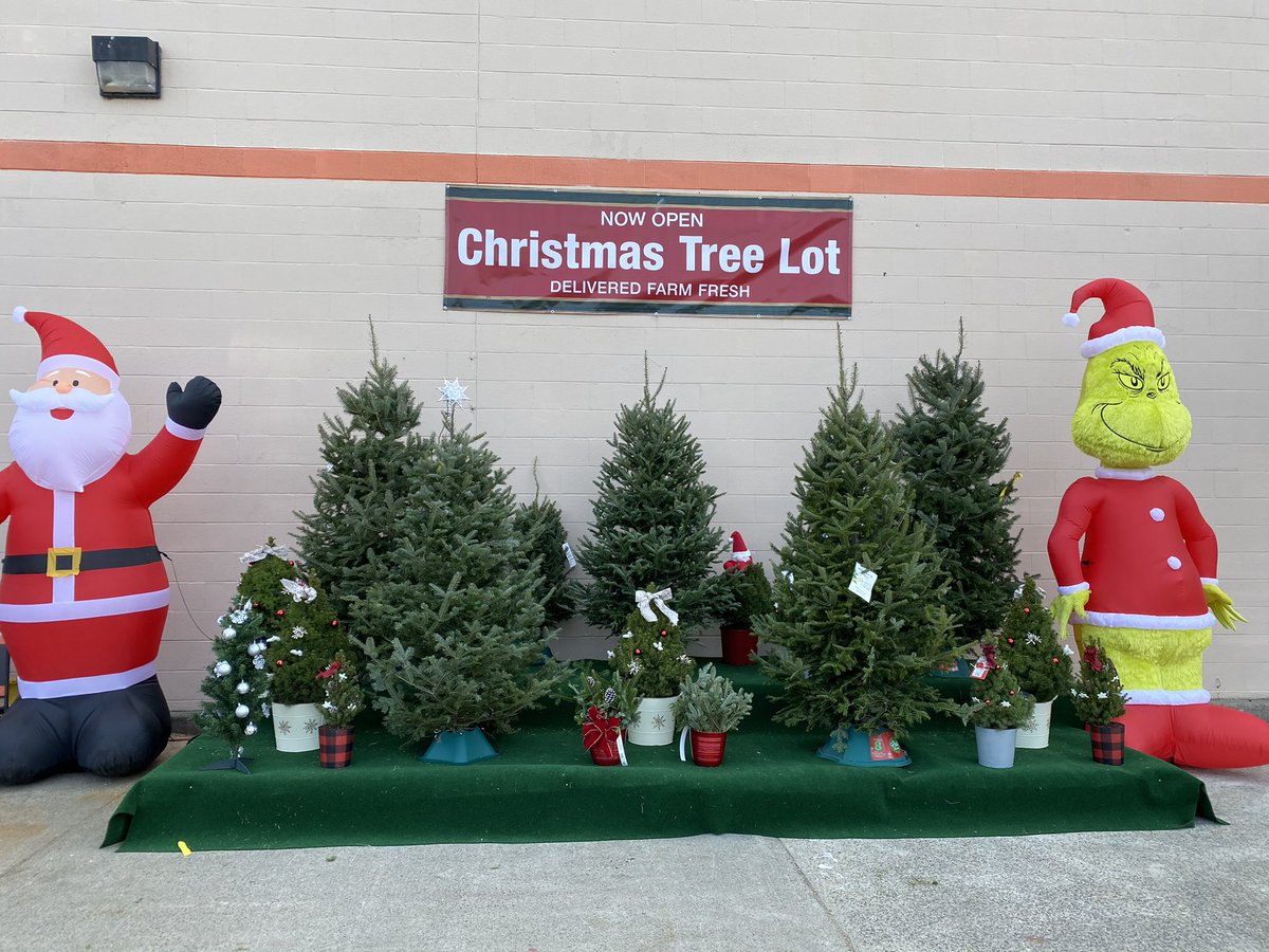 We’re ready for the holiday !! West Springfield Home Depot has the tree and holiday decorations you need ! <a href="/marantes1/">Marcelo Arantes</a> <a href="/JasonArigoni/">Jason Arigoni</a> <a href="/DanielleKida1/">Danielle Dion Korell</a> <a href="/SmidtMark67/">Mark Smidt</a> <a href="/amyboyer71/">Amy boyer</a>