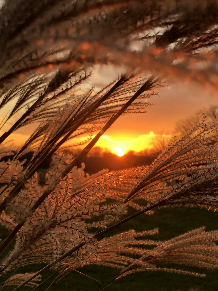 Miss Beverly ☀️🙏✨🐝 tweet media