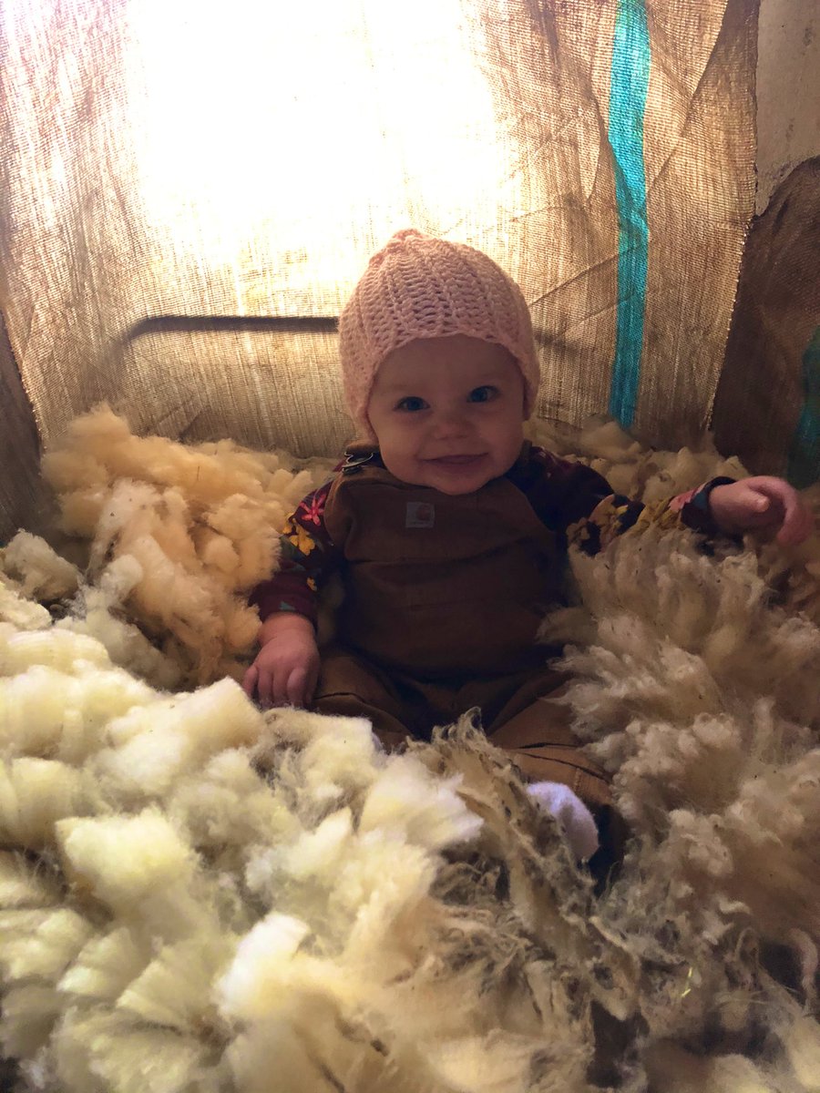 Not sure how much help she offers shearing sheep, but at least she’s cute.