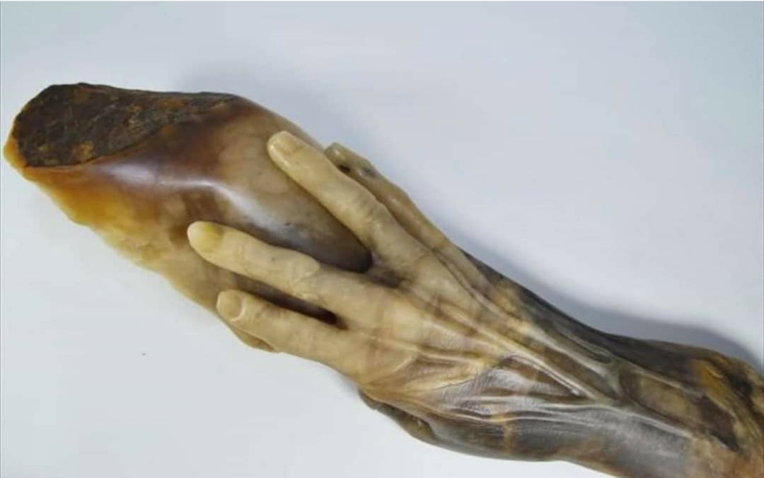 Congratulations to Deborah Harrison for receiving the Sculpture Prize, chosen by sculptor Joseph Hillier for her work'The Hand of Fanny Storr' in the  South West Academy's on line exhibition. 'Reflections 2020 '. @swacart #sculptureprize