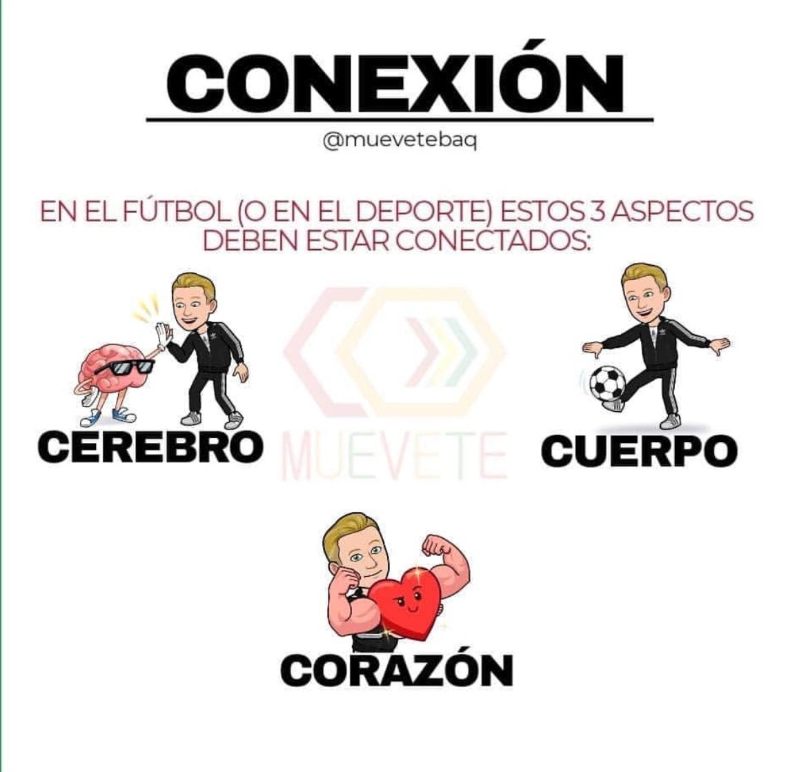 innovaFutbol's tweet photo. Las grandes sociedades en fútbol se basan en tres anatomías que deben expresarse juntas:

🧠 Cerebro (entender lo mismo)
♥️ Corazón  (sentir lo mismo)
🦶Pies (jugar a lo mismo)

Gracias IG @muevetebaq por darle imagen a mis ideas https://t.co/8Nsi3WoId6