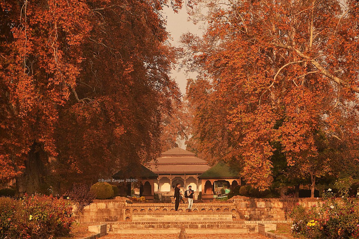 basiitzargar's tweet image. Autumn in Kashmir a stunning delight