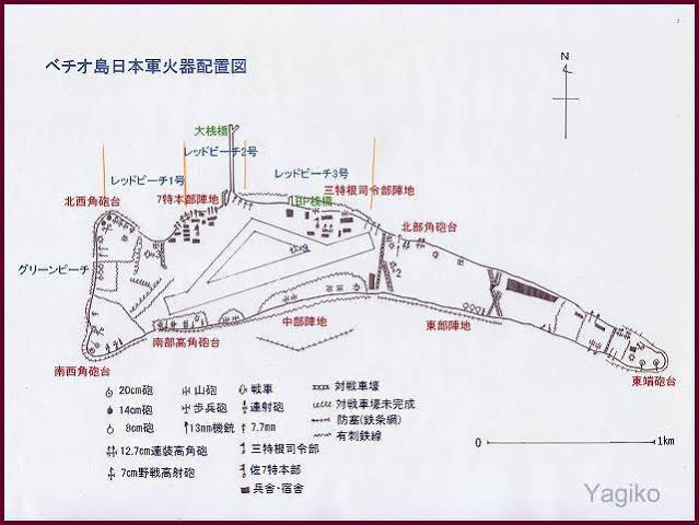 マリアナ諸島の戦いまでは日本軍は水際防御に徹して早期に壊滅しているが、タラワのような環礁の戦いは高低差や奥行きがほとんどない為、水際防御は仕方ないと言える。
ただ末期になっても硫黄島の戦いで海軍部隊が海岸に近い千鳥飛行場にトーチカを構築して早期に壊滅した例もある。 