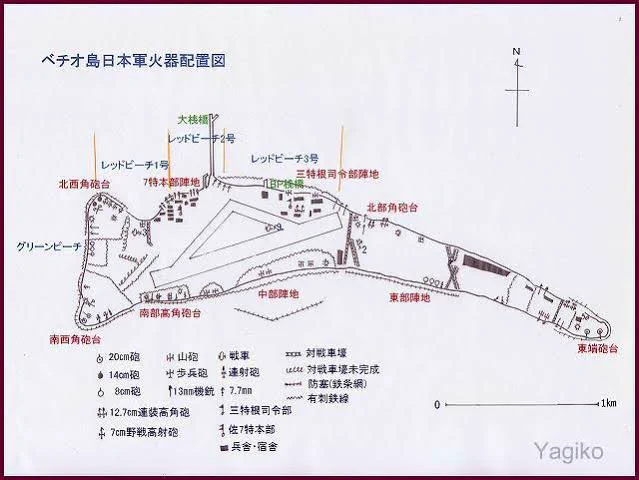 マリアナ諸島の戦いまでは日本軍は水際防御に徹して早期に壊滅しているが、タラワのような環礁の戦いは高低差や奥行きがほとんどない為、水際防御は仕方ないと言える。
ただ末期になっても硫黄島の戦いで海軍部隊が海岸に近い千鳥飛行場にトーチカを構築して早期に壊滅した例もある。 