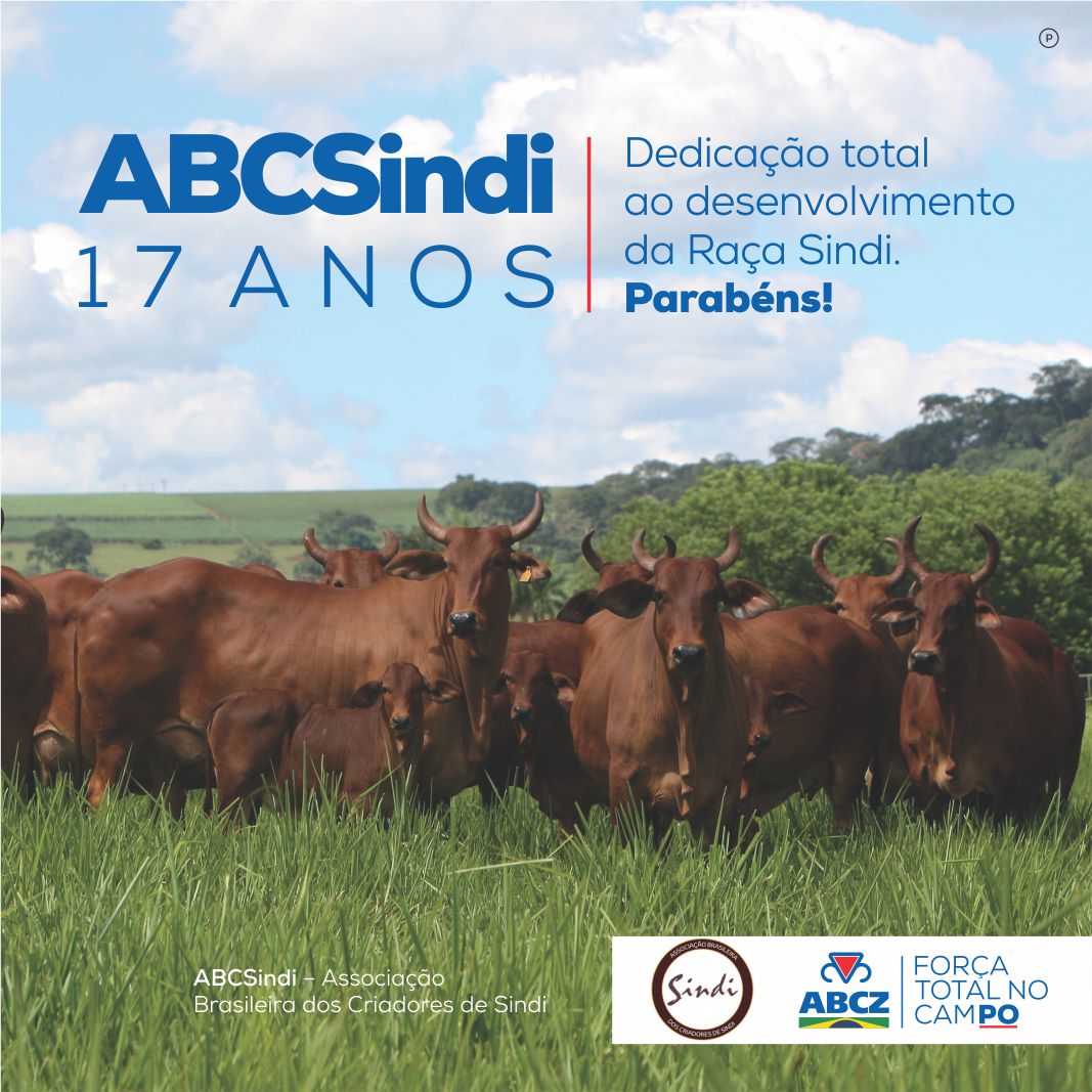 abcz_pmgz's tweet photo. Parabéns, ABCSindi! 

#ABCZ #PMGZ #MelhoramentoGenético #Zebu #RaçasZebuínas #ABCZNoticia https://t.co/DwsXSrhPDR