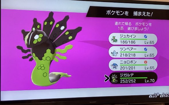 色違いジガルデ Twitter Search