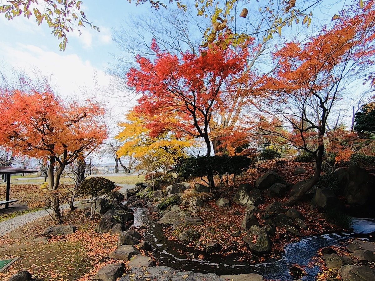 massara_nati's tweet photo. 📷
🍂🍁🍂🍁🍁🍁🍂🍁🍁🍂🍁🍁
#三八城公園(みやぎこうえん)
#八戸城跡
#青森県八戸市 #八戸市 #hachinohecity
------------------------
#gopro #goprotoday #goprohero7 #goprotraveljapan #goprojp #goprojapan #goprophotography #goproのある生活 https://t.co/fBS0Z4NbS5