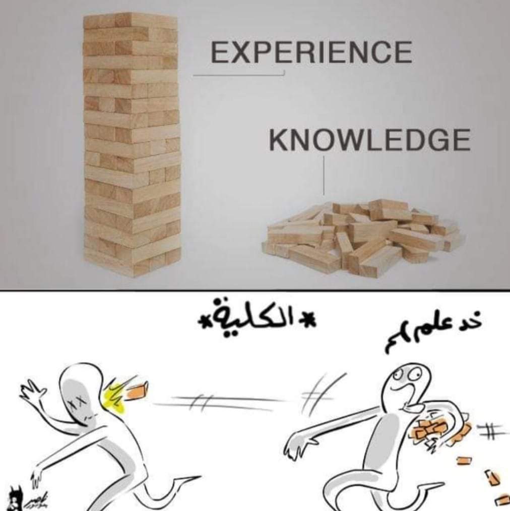 Knowledge experience