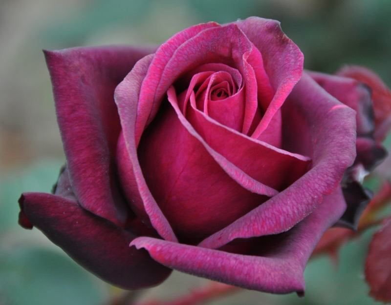 leadintogold's tweet photo. ✌️https://t.co/s9UJRbLjSg
.
🙏 THANKS @MMMfutura @SilviaMaidorn
✍️ RETWEETING Menodora #11Ott https://t.co/PnOCVpenFL
.
🌺 https://t.co/vmFE6e0izH
🌺 https://t.co/yz2QRzKC5X
👗 https://t.co/lBPBes5ZZD
🎧 SOFI TUKKER - Awoo feat. Betta Lemme https://t.co/B44S8t6LP6 https://t.co/MlQhkHElUy