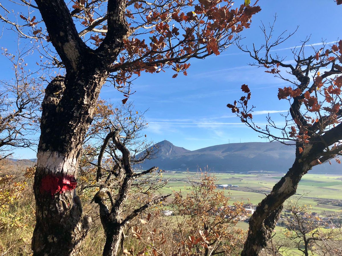 jagupas's tweet photo. #HigaDeMonreal 🍂 https://t.co/d4I1NamWCS