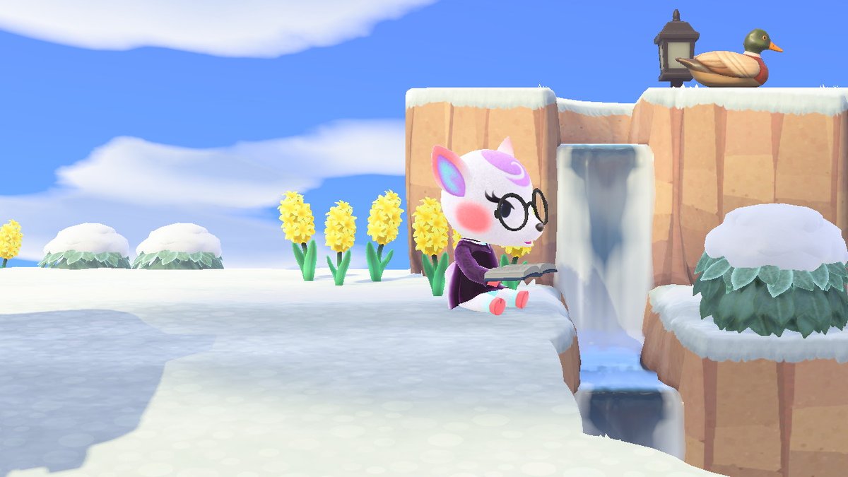 SelfieAdventure's tweet photo. #AnimalCrossing #ACNH #NintendoSwitch https://t.co/bDBOMRcQtj