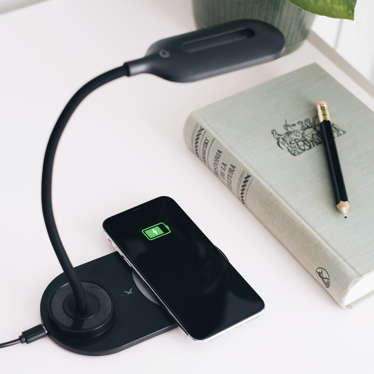 KSixMobile's tweet photo. Carga inalámbrica, luces fría y cálida, intensa o suave. ¡A tu gusto!

🛒👉Encuéntralo haciendo clic en la imagen  o por el siguiente enlace https://t.co/BrbCibwQ2K 

🔆🔆
#lampara  #lamparita  #lamparilla  #cargadorinalámbrico https://t.co/jDNSsCsz9Z