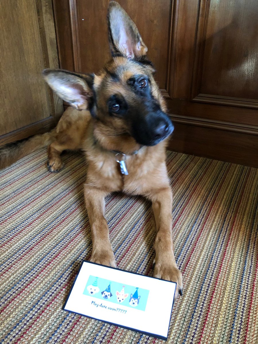 MSE's tweet photo. ๐ฌ Brooke says...
#HBDScout ๐ฅณ๐ https://t.co/XhYdtHC4jt
