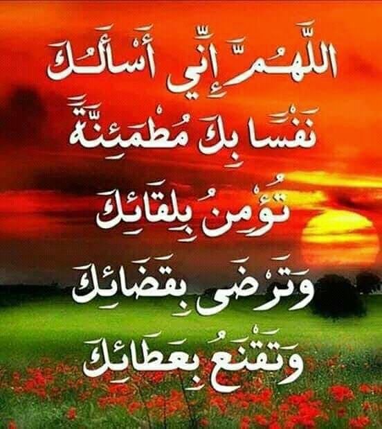 خادمه الزهراء (@haedarnore3) on Twitter photo 
