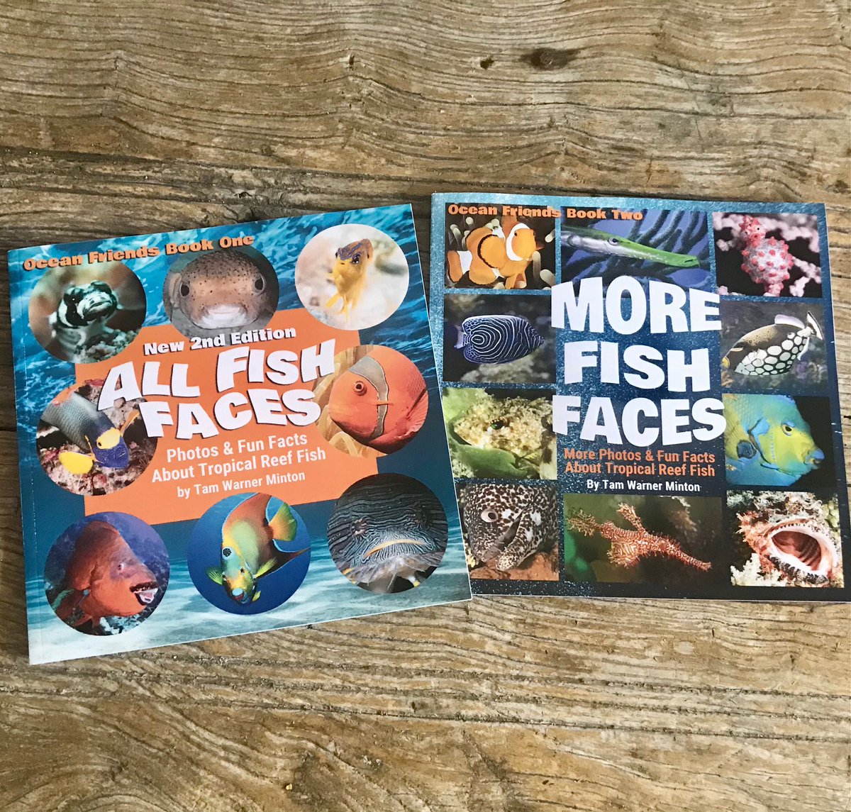 TravelwithTam's tweet photo. Check out #MOREFISHFACES on #SCBWIBookStop https://t.co/3jQ2GUZJO1… @SCBWINorthTexas #elementarylibrarians #teachers #science #elementary #books #newrelease #newkidsseries #NewKidsBooks #childrensnonfiction #marinescience #scienceforkids #oceanscience #fish @KimSeaver_OCPS https://t.co/L0lX1iZItv