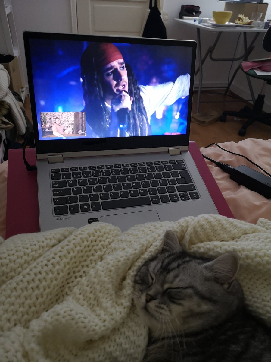 nanainlnd's tweet image. Why is my cat sleeping and not vibing to @LiamPayne with me? 🙀 #TheLPShowAct3