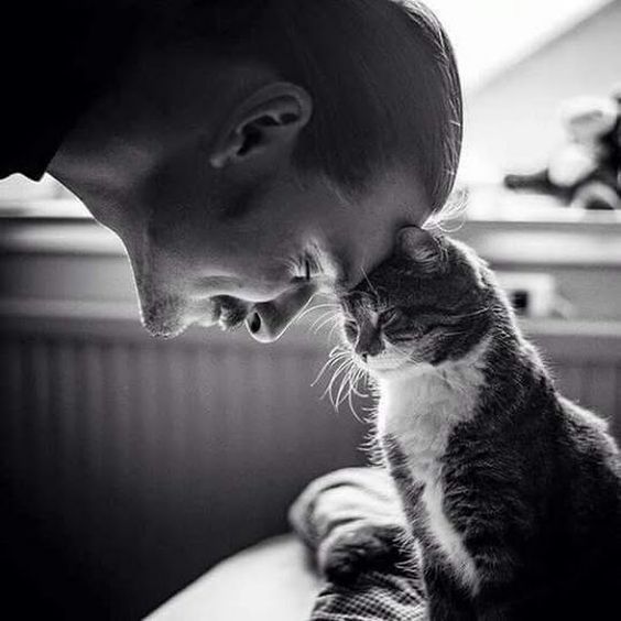 A boa consciência está em amar a alguns e respeitar a todos!
Onaldo