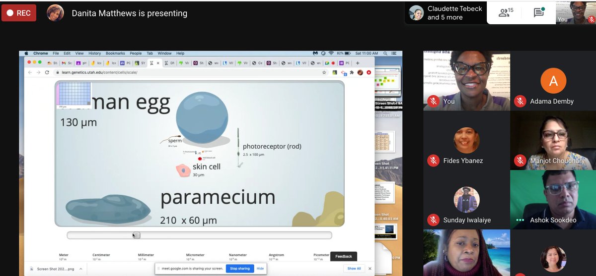 Lorrie Armfield tweet media