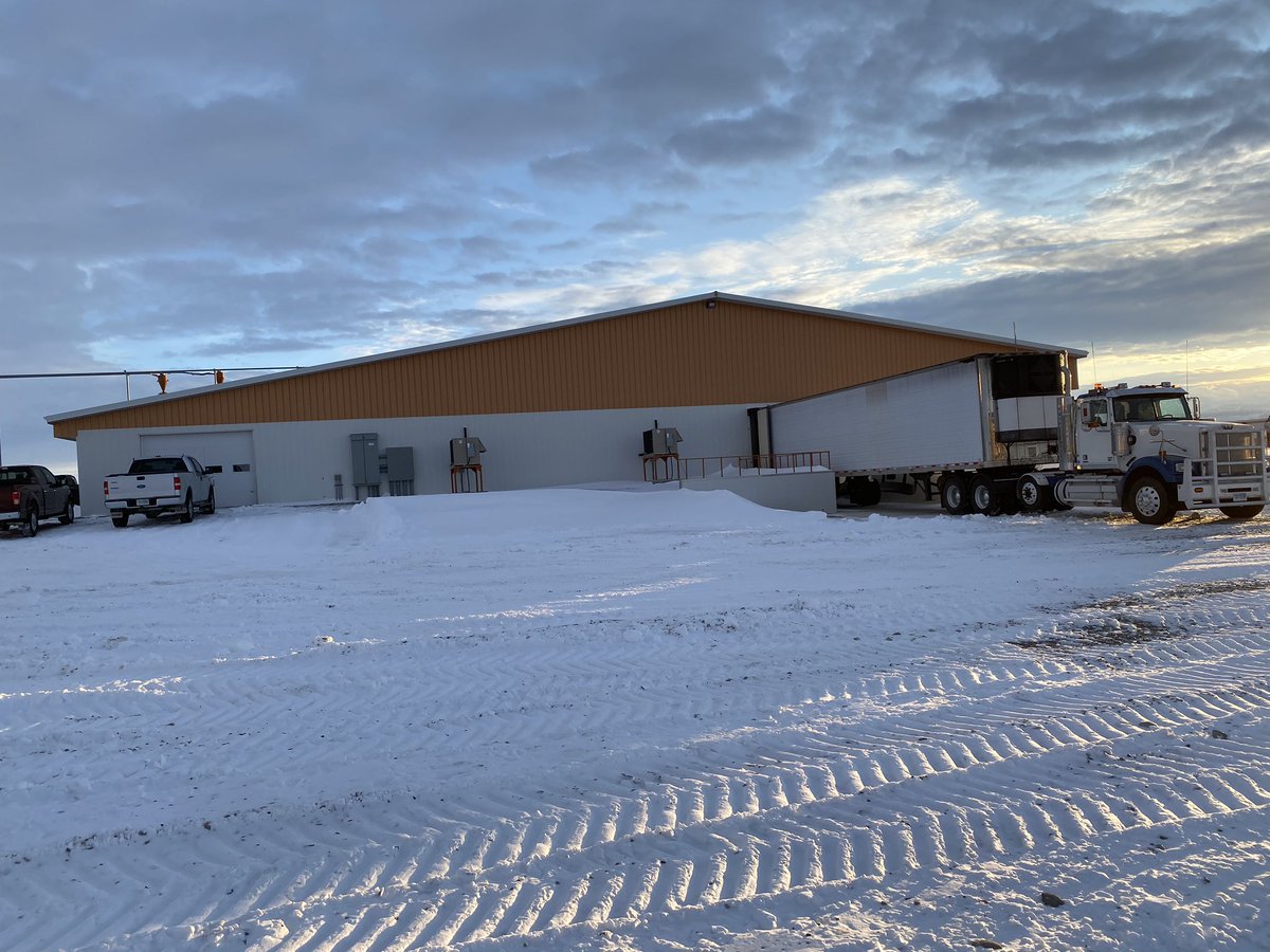 Calvin Ginter tweet media