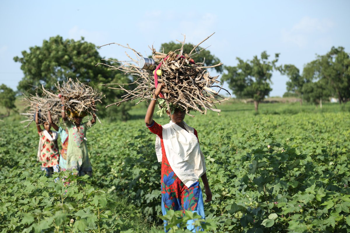 WorldAccord's tweet photo. @KarinaGould and @JonathanWNV, women farmers around the world are struggling to adapt to climate change as a global food crisis looms. More aid for agriculture can help. #MoreAid4Ag #CanadianAid https://t.co/vbPb4Bb8OM