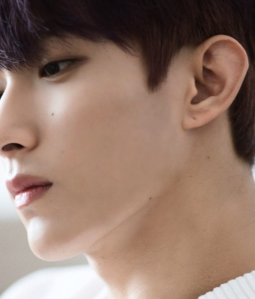 dk (seventeen) and his molesalso: birthmark on his neck