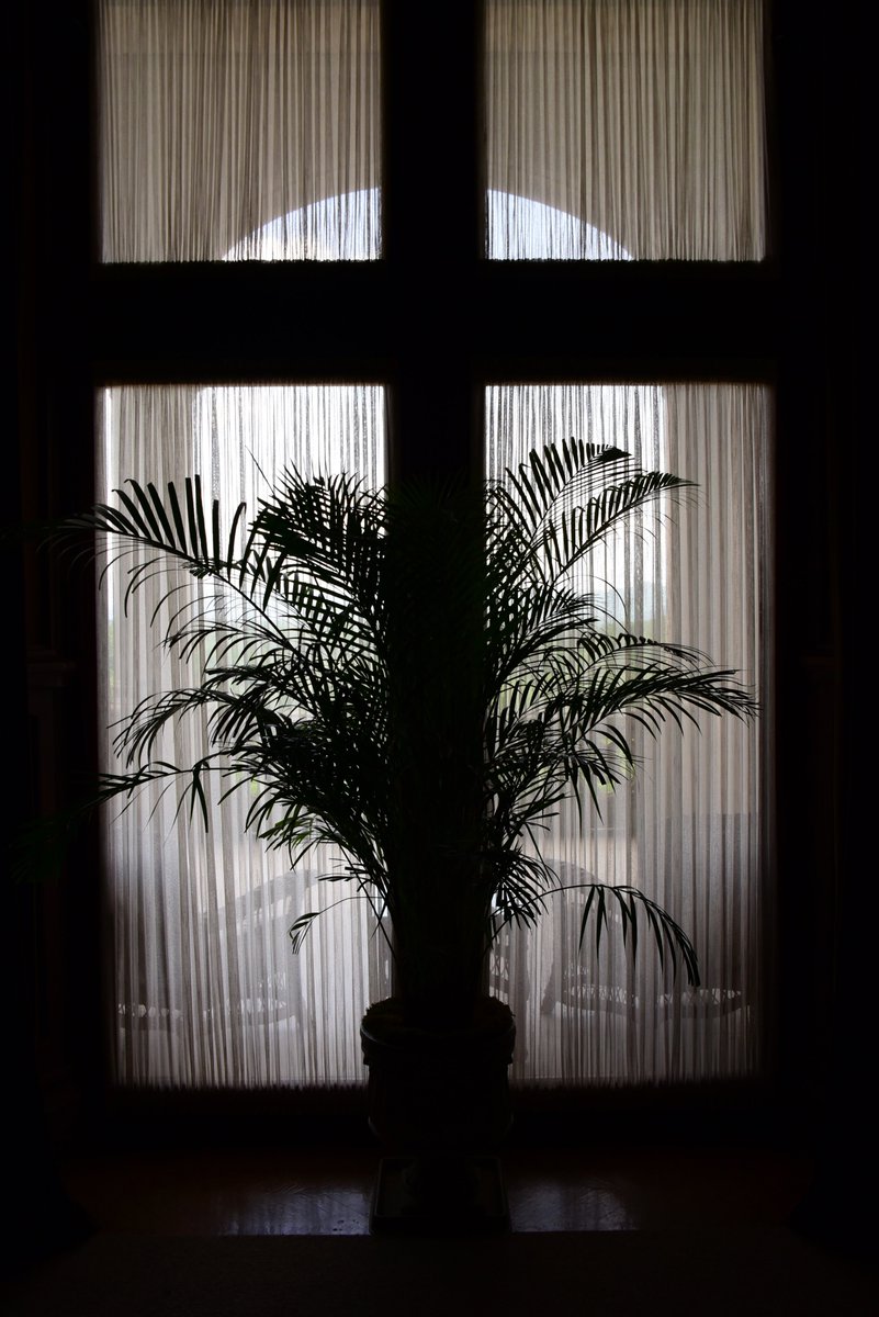 ArtSolutionsInk's tweet image. Free ground shipping on all U.S. orders, today and Sunday (until midnight ET)

fineartamerica.com/featured/black…