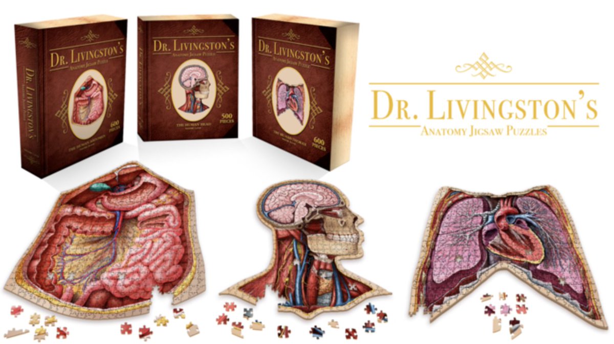 TrustVesalius's tweet photo. Mesa Schumacher has donated 3 of her anatomical puzzles to the Vesalius Trust online auction at 32auctions (11/16–11/23). Place a bid to help raise scholarship money for students studying health science visual communications!

https://t.co/LJQhMf17hB 

#VT2020vision #medart https://t.co/XTBK86Qn4O
