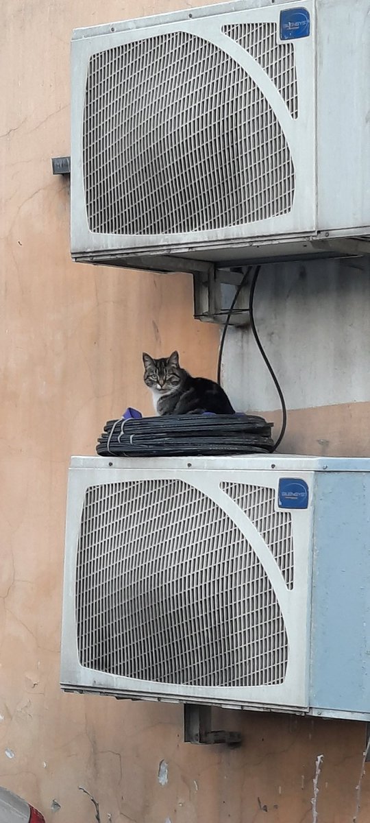 Mari Gerasimova (@mariska8623) on Twitter photo 