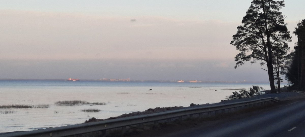 Mari Gerasimova (@mariska8623) on Twitter photo 