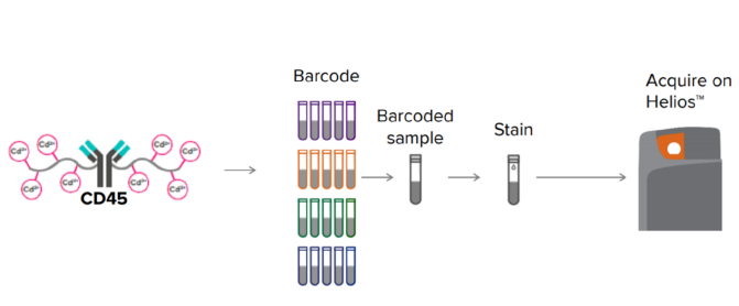 Standard_BioT's tweet photo. Live-cell #barcoding can turn up to 35 samples into one! Barcoding for #masscytometry uses metal-labeled #antibodies that target cell-surface epitopes, allowing you to combine several samples together for better data consistency and workflow efficiencies.
https://t.co/aUKQSL7Kq8 https://t.co/HVgNm9xOYS