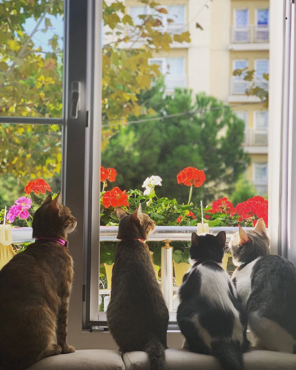 Biz evdeyiz... sizde sağlığınız İçin hepimiz, hepiniz için evde kalın ...#bizevdeyiz #evdehayatvar #evdekal <a href="/drfahrettinkoca/">Dr. Fahrettin Koca</a>