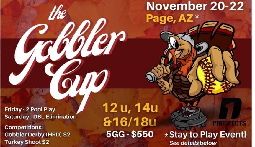 PallanesDaphne's tweet photo. Great fun last night in Peoria, AZ now in Page,AZ for Gobbler Cup tournament! It’s beautiful here❤️🥎 https://t.co/32lnSfNjrJ
