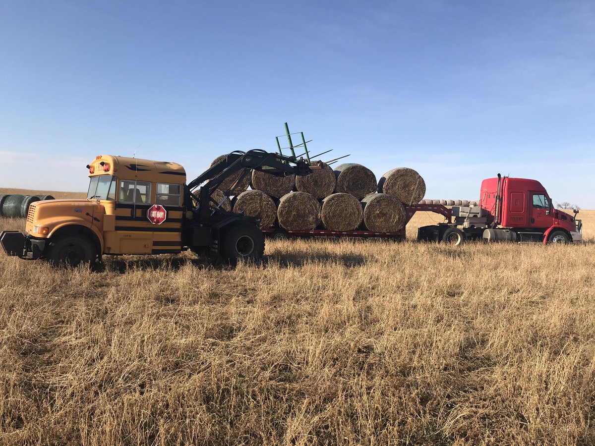 DallasCHenry1's tweet photo. Just hauling goat hay this morning !!
#gothay #loaderbus #couldbedeerhunting https://t.co/F0msQvPchl